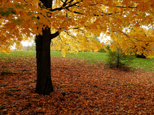 1408847 (a): :2560x1920